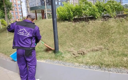фото Комплексный уход за территорией: забота о газонах и поддержание чистоты